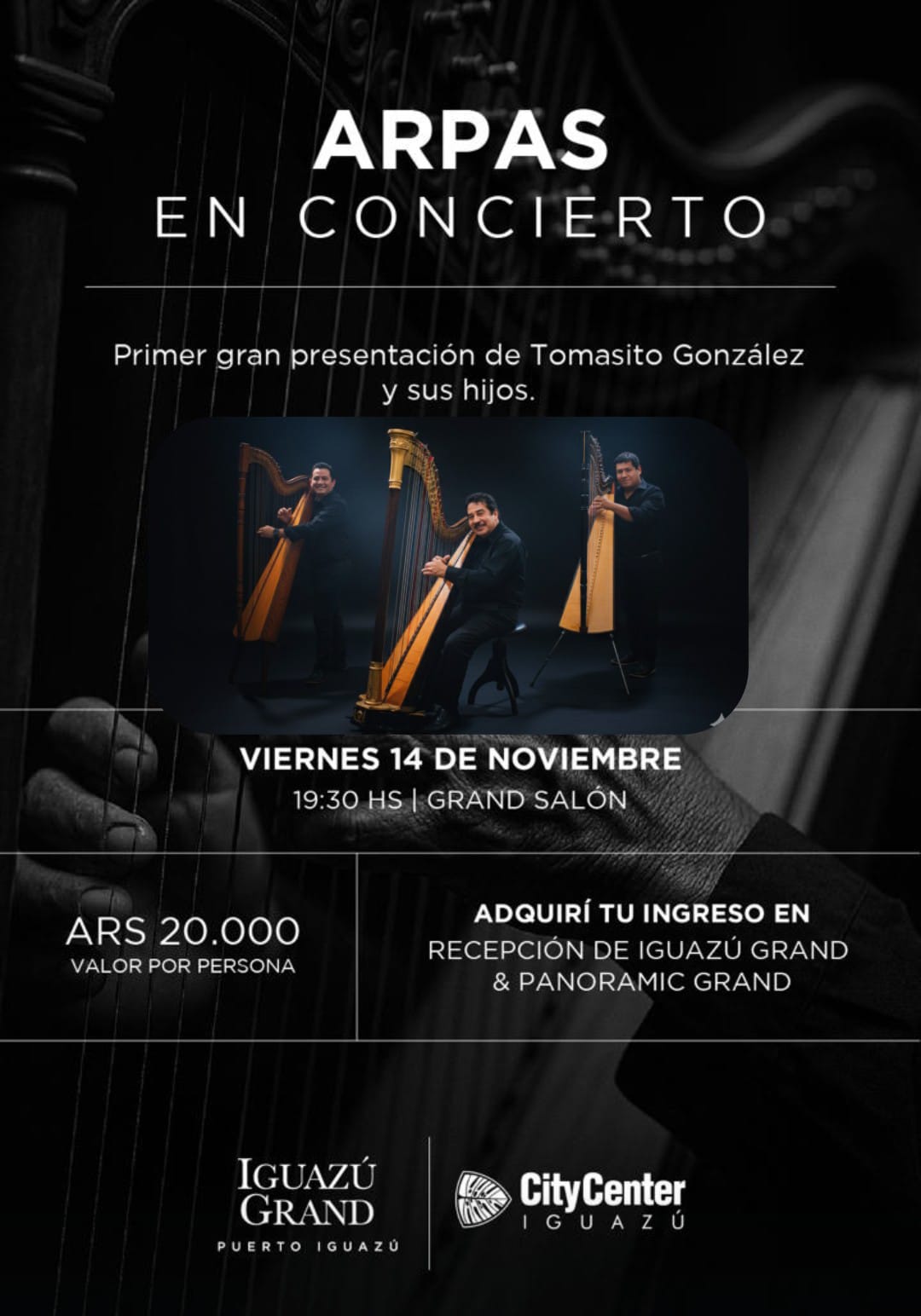 Una noche donde las cuerdas vibran en familia 8 Una noche donde las cuerdas vibran en familia imagen-7