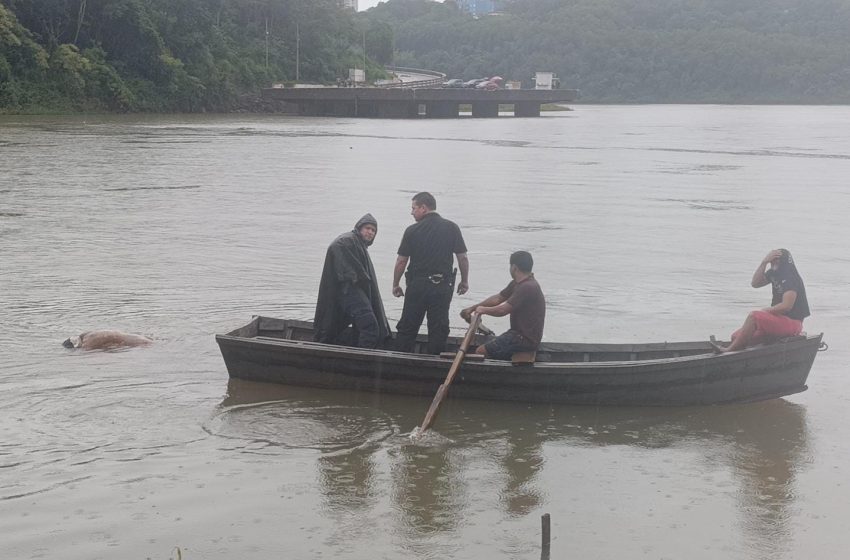  Hallaron el cuerpo de un hombre en aguas del río Paraná en Presidente Franco