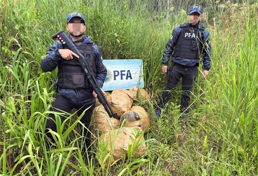 La policía Federal secuestró más de 213 kilos de marihuana en un camino utilizado como paso ilegal