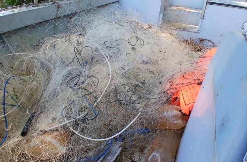  Recorrido náutico conjunto permitió el secuestro de elementos de pesca ilegal en la zona norte de Misiones