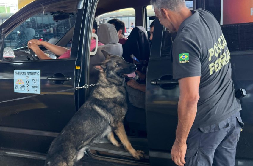  La Policía Federal refuerza los controles en la frontera con Paraguay durante diciembre