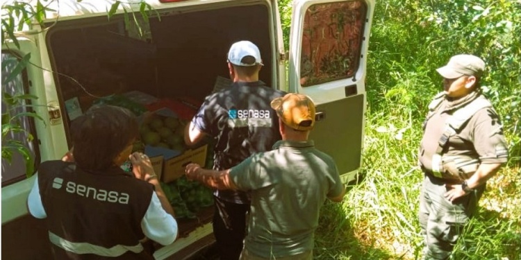  Detienen cargamento con frutas y hortalizas sin documentos sanitarios en Iguazú