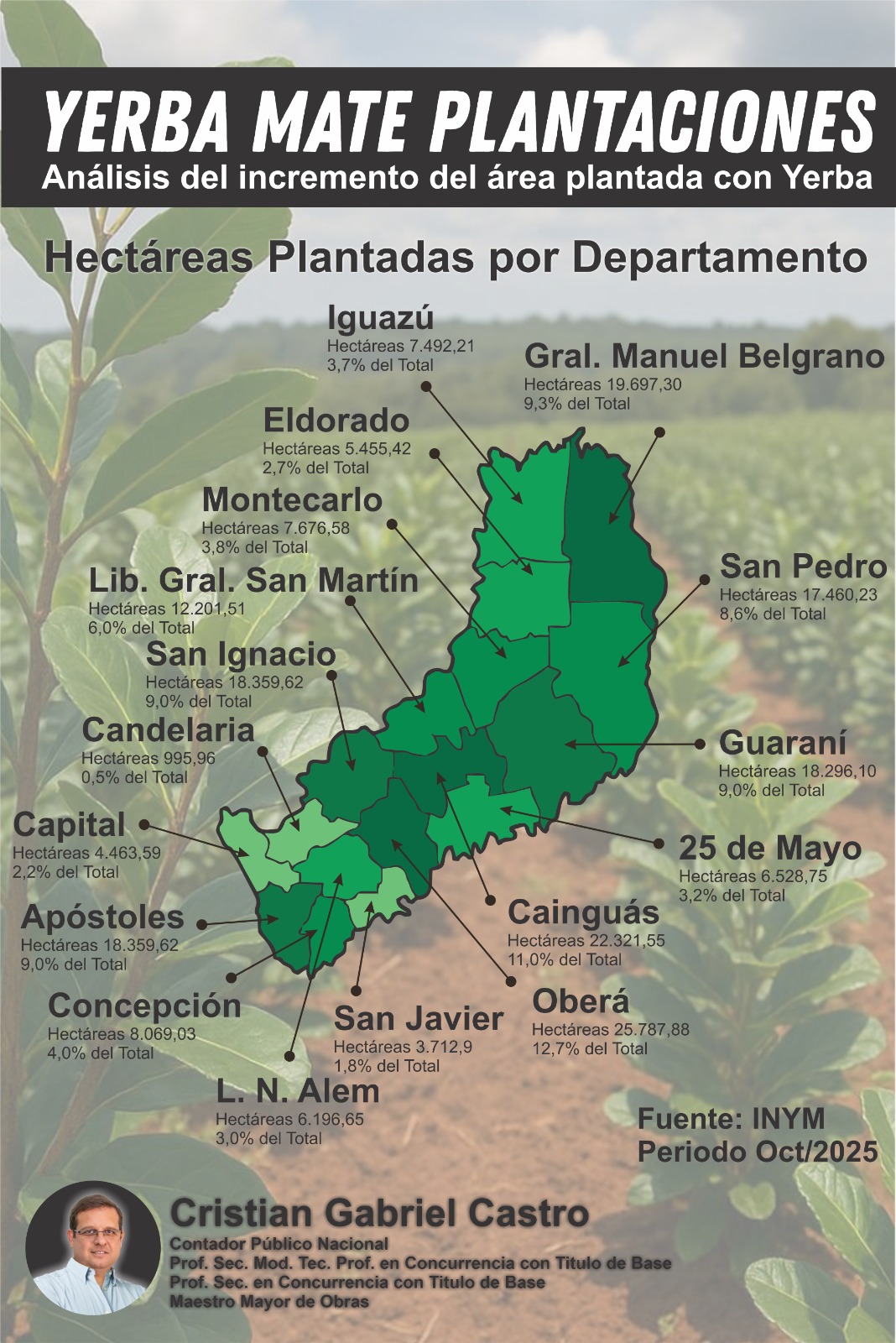 Misiones incrementó más del 41% su superficie plantada en menos de una década imagen-9