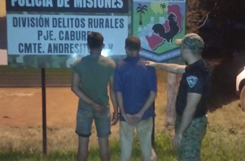  Dos hombres detenidos por el disparo que dejó a un cazador gravemente herido en Iguazú