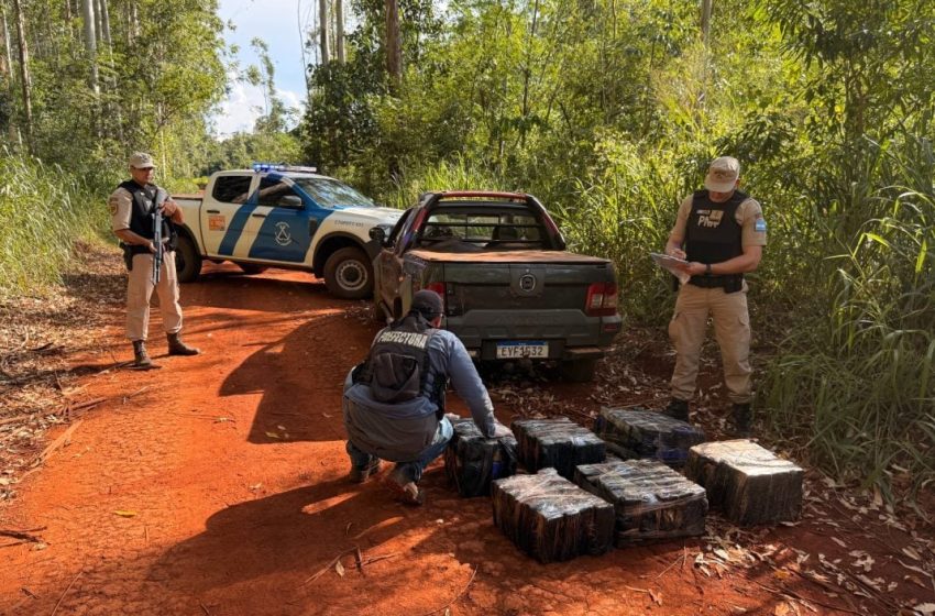  Prefectura incautó un cargamento de marihuana