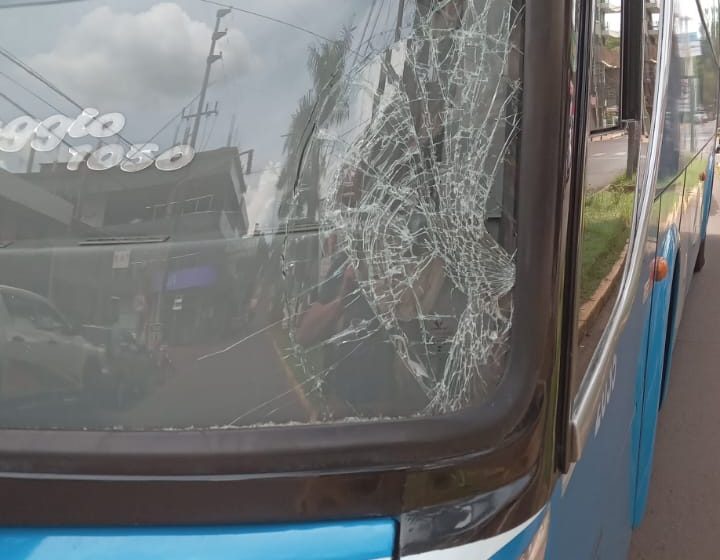  Hombre resultó herido tras ser atropellado por un ómnibus