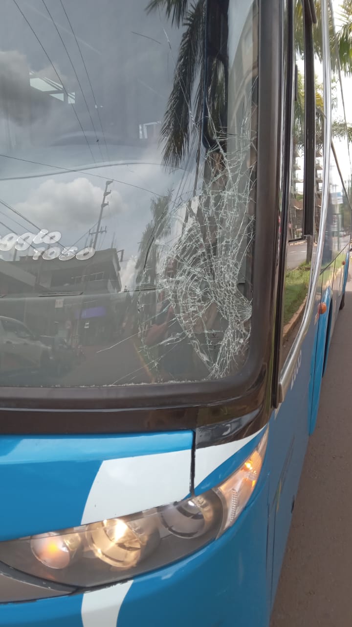 Hombre resultó herido tras ser atropellado por un ómnibus imagen-9