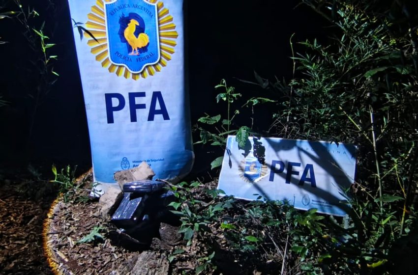  Secuestran más de 10 kilos de marihuana en zona selvática