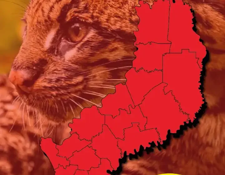  Advierten riesgo extremo de incendios en todo el territorio provincial