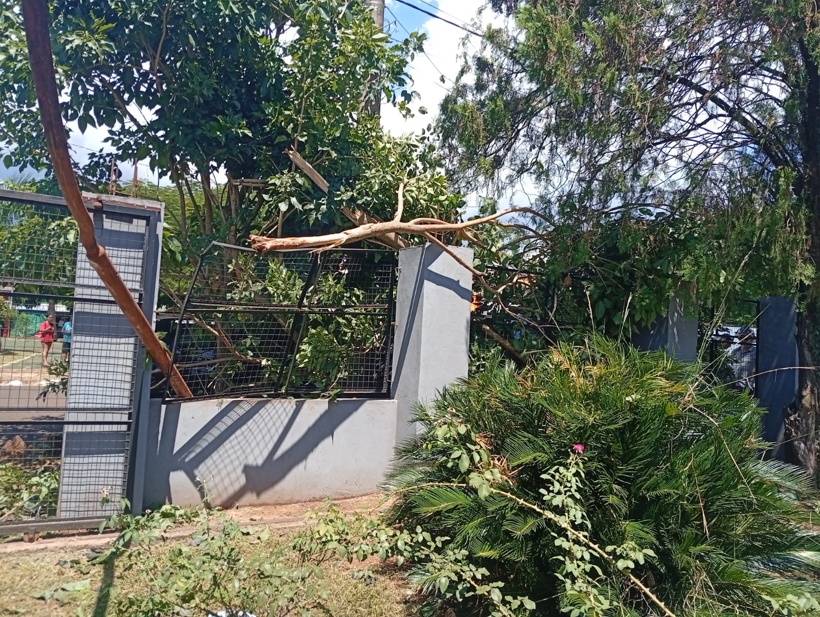 Accidente de tránsito en Villa Nueva: una camioneta chocó un auto estacionado y derribó postes y un árbol imagen-8