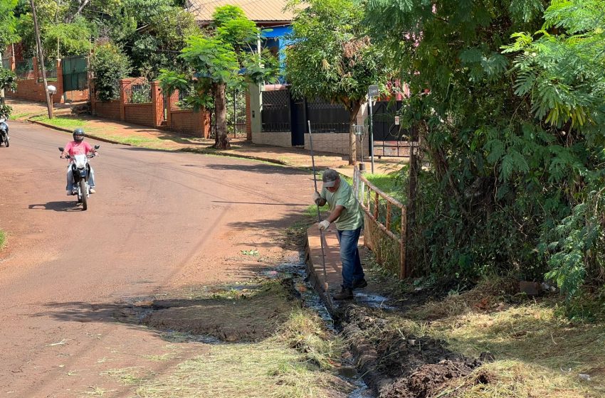  Villa Alta – Almirante Brown : Reclamo vecinal por el estado de un puente y la falta de iluminación