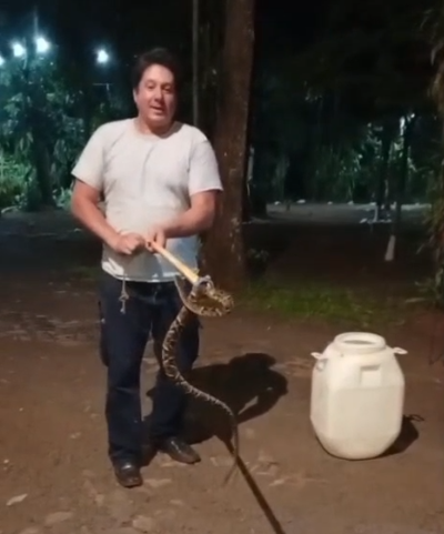  Intervención de Bomberos por captura de una yarará en hotel de Iguazú