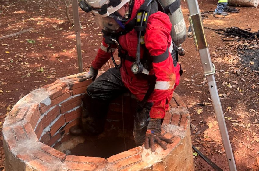  Rescate exitoso de un perro en la zona de las 2000 Hectáreas