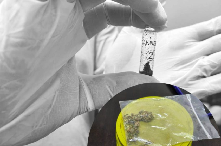  Detuvieron a un hombre con marihuana durante un operativo preventivo en un encuentro futbolístico