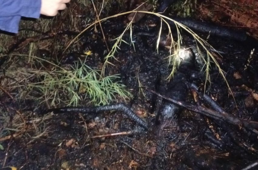  Quema de residuos generó alarma en el barrio Almirante Brown