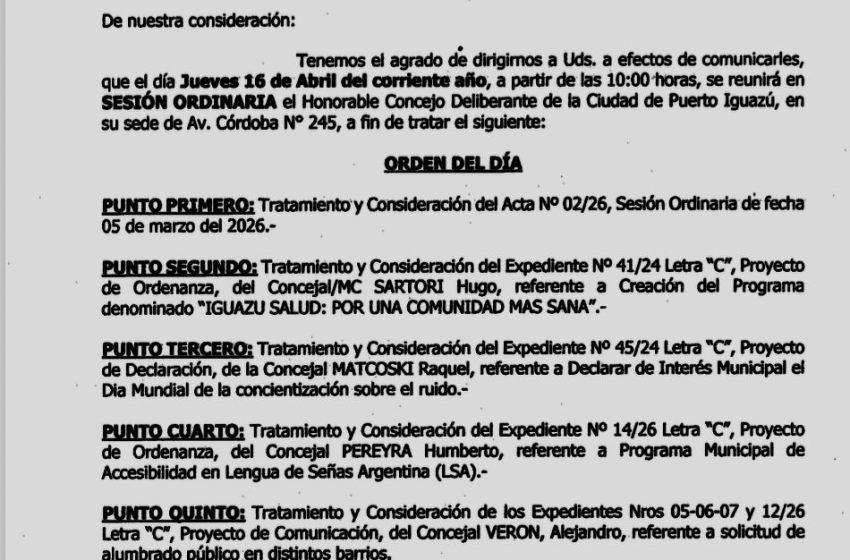  Iguazú: el Concejo Deliberante debate iniciativas sociales en medio de una creciente crisis local