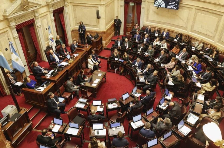  El Senado debate este miércoles la reforma de Salud Mental: internaciones no voluntarias y foco en adicciones