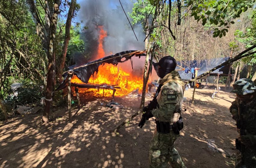  Operación Nueva Alianza 55: más de 809 toneladas de marihuana fuera de circulación
