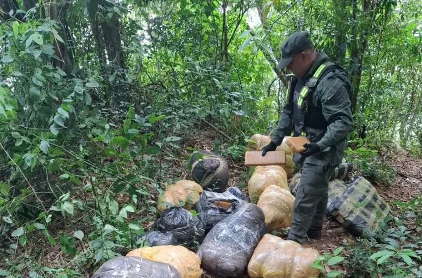  Incautaron 190 kilos marihuana que estaban escondidos en el monte.