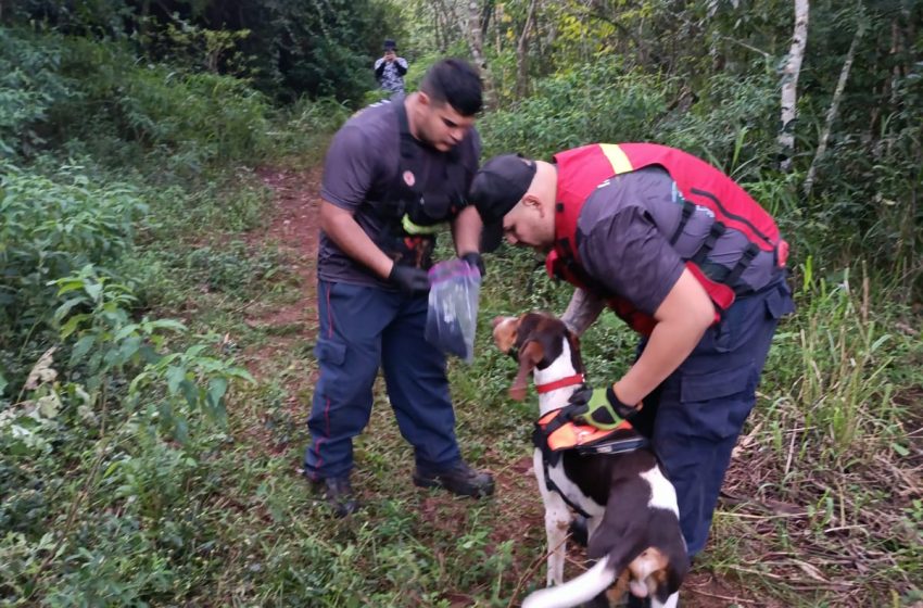  Encuentro de Unidades Caninas: 18 simulacros fortalecieron la capacitación en búsqueda y rescate
