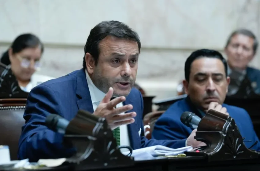  Herrera Ahuad cuestionó la política nacional hacia la infancia: “ningún plan económico puede construirse dejando atrás a los chicos”
