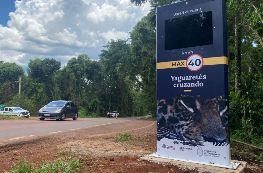  Defensores del Yaguareté reclaman la homologación de los tótems de velocidad para aplicar multas en el acceso al Parque Nacional Iguazú