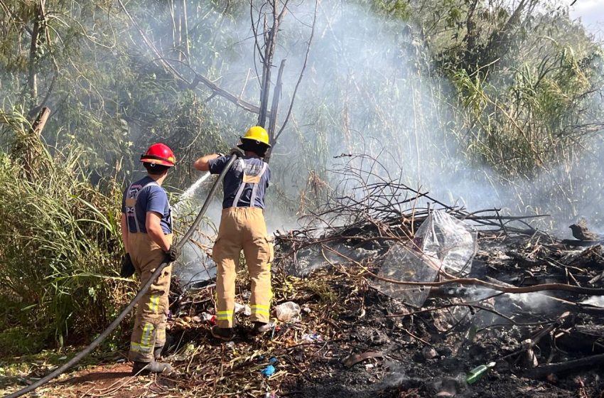  Bomberos controlaron un incendio de pastizal y recuerdan que está prohibido realizar quemas en Puerto Iguazú