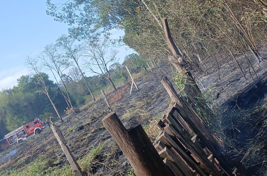  Bomberos controlaron un incendio de pastizales en las 2000 Hectáreas y evitaron que alcanzara viviendas
