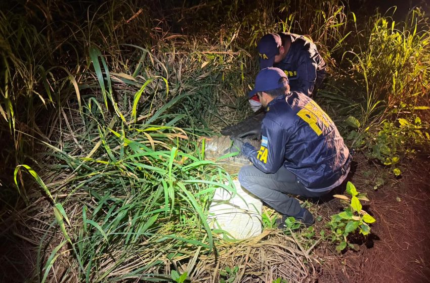  Puerto Esperanza: secuestran más de 96 kilos de marihuana valuados en $280 millones en un operativo de la Policía Federal