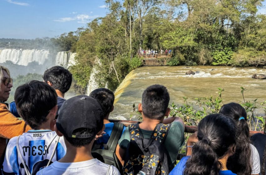  “El monte de la Gurisada” en el Parque Nacional Iguazú