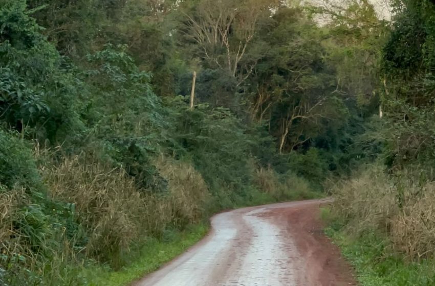  Misiones tendrá jornadas calurosas y ventosas antes del regreso de las lluvias