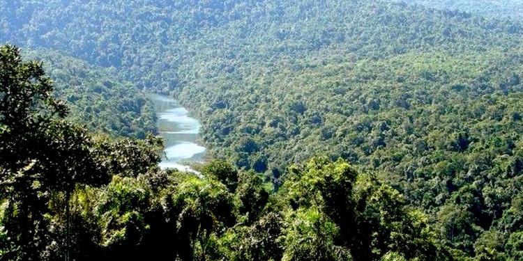  Semana clave para los misioneros: se debate la extranjerización de la tierra