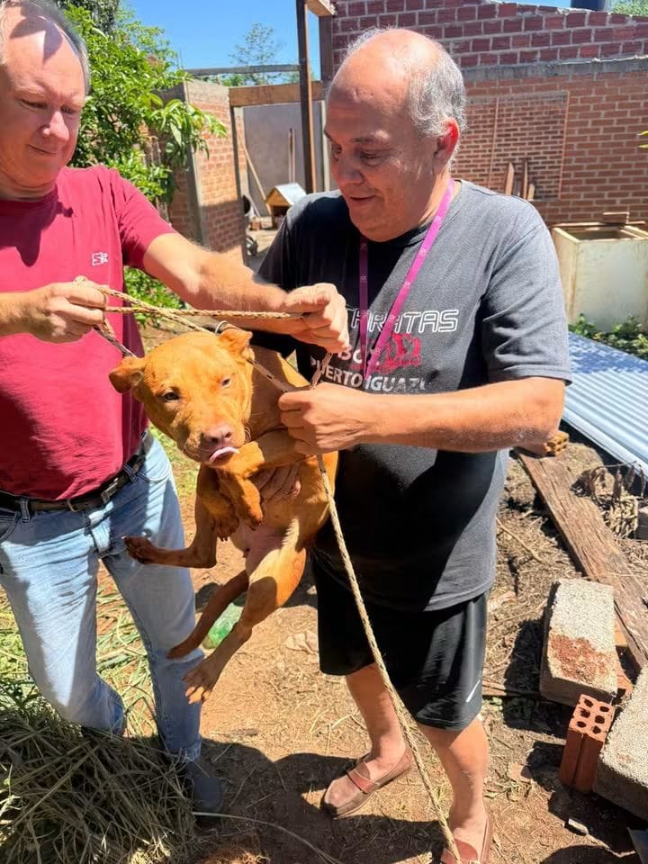 RESCATARON UN PERRO QUE CAYÓ EN UN POZO DE 7 METROS imagen-11