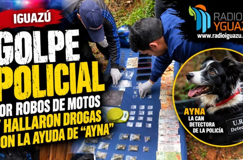  GOLPE POLICIAL EN IGUAZÚ: INVESTIGABAN ROBOS DE MOTOS Y “AYNA” DETECTÓ MARIHUANA, COCAÍNA Y DROGAS FRACCIONADAS