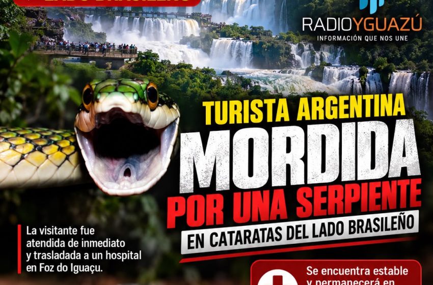  CATARATAS DEL LADO BRASILEÑO: TURISTA ARGENTINA FUE MORDIDA POR UNA SERPIENTE