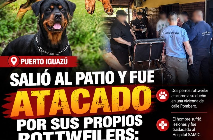  SALIÓ AL PATIO Y FUE ATACADO POR SUS PROPIOS ROTTWEILERS: TIENE 88 AÑOS