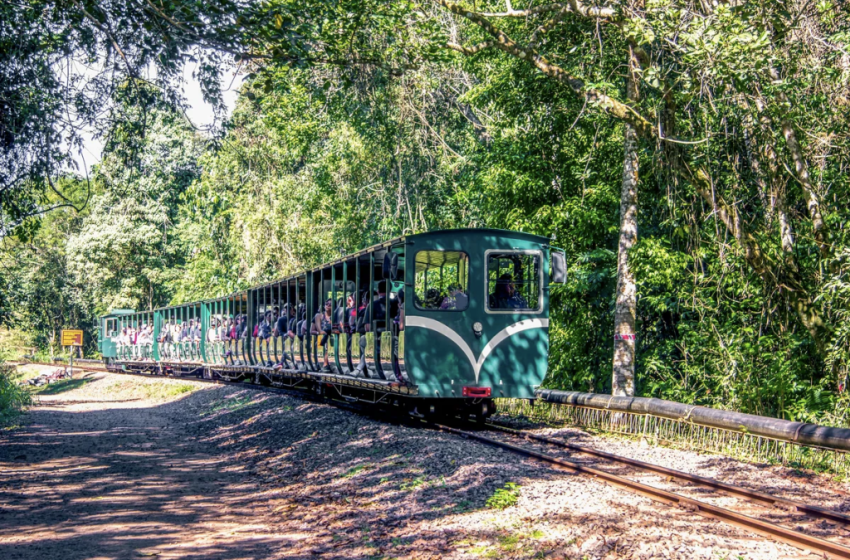  “Es viable extender el Tren Ecológico hasta Puerto Iguazú”