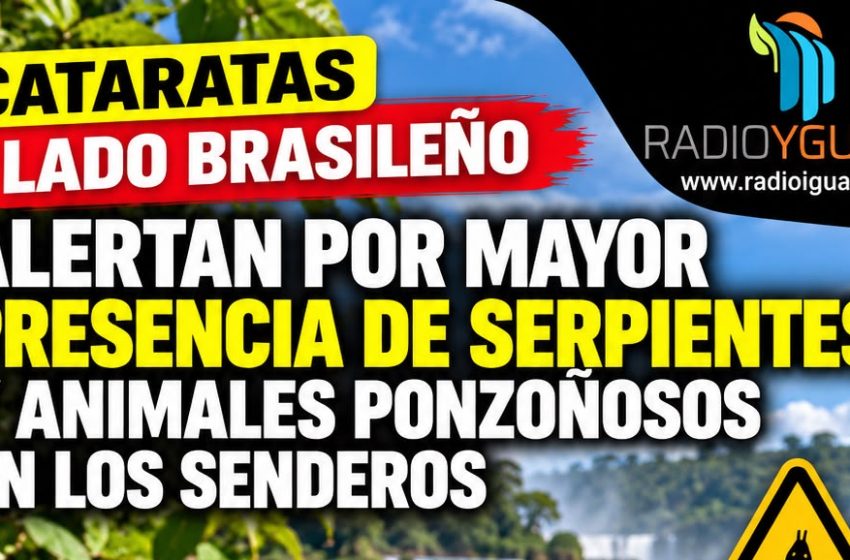  CATARATAS DEL LADO BRASILEÑO: ALERTAN POR MAYOR PRESENCIA DE SERPIENTES EN LOS SENDEROS