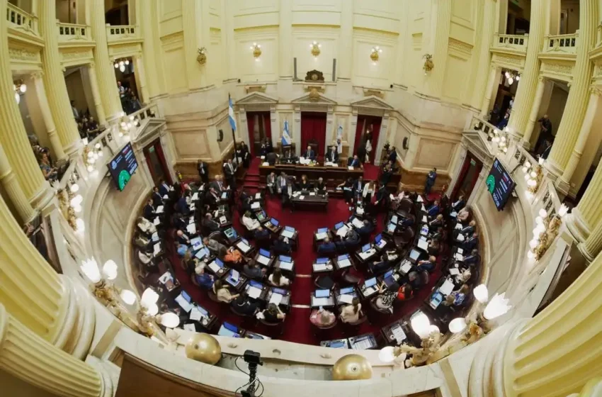  El Senado aprobó la reforma de la Ley de Salud Mental y el proyecto pasó a Diputados