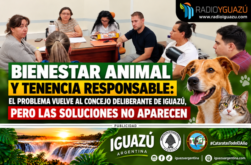  Bienestar animal y tenencia responsable: el problema vuelve al Concejo Deliberante de Iguazú, pero las soluciones no aparecen