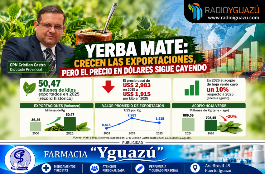  Yerba mate: las exportaciones crecen en volumen, pero el precio en dólares sigue cayendo
