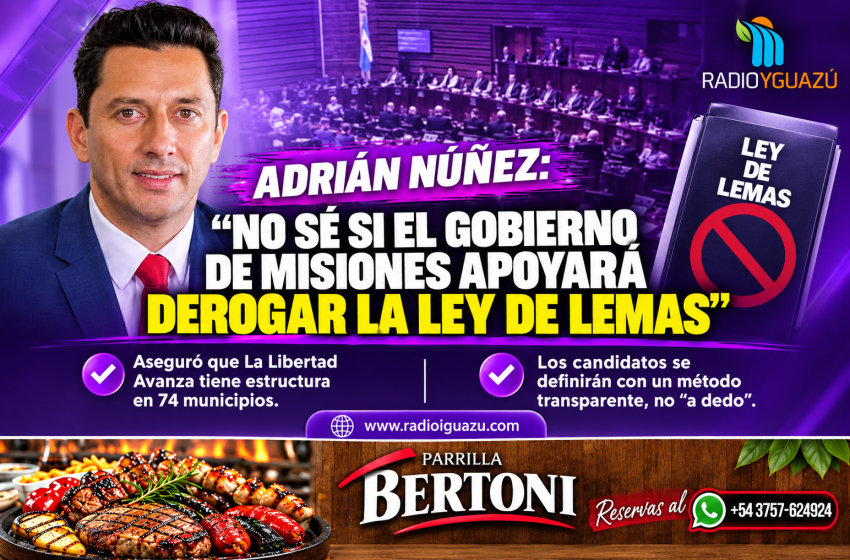  Núñez no da por segura la derogación de la Ley de Lemas, pero afirma que La Libertad Avanza está preparada para competir