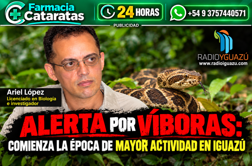  ALERTA POR VÍBORAS: COMIENZA LA ÉPOCA DE MAYOR ACTIVIDAD EN IGUAZÚ