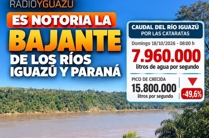  Es notoria la bajante de los ríos Iguazú y Paraná: las Cataratas redujeron casi a la mitad su caudal máximo