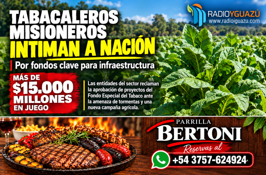  TABACALEROS MISIONEROS INTIMAN A NACIÓN POR MÁS DE $15.000 MILLONES: “EL TABACO HOY ES EL PLAN A”