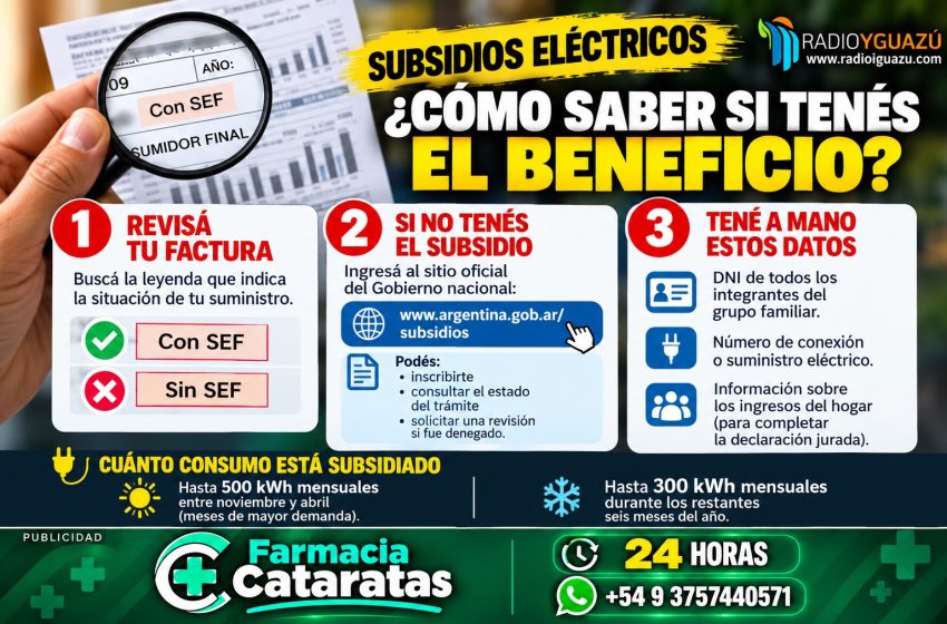  SUBSIDIOS ELÉCTRICOS EN MISIONES: CÓMO SABER SI ESTÁS INSCRIPTO Y QUÉ HACER SI NO TENÉS EL BENEFICIO